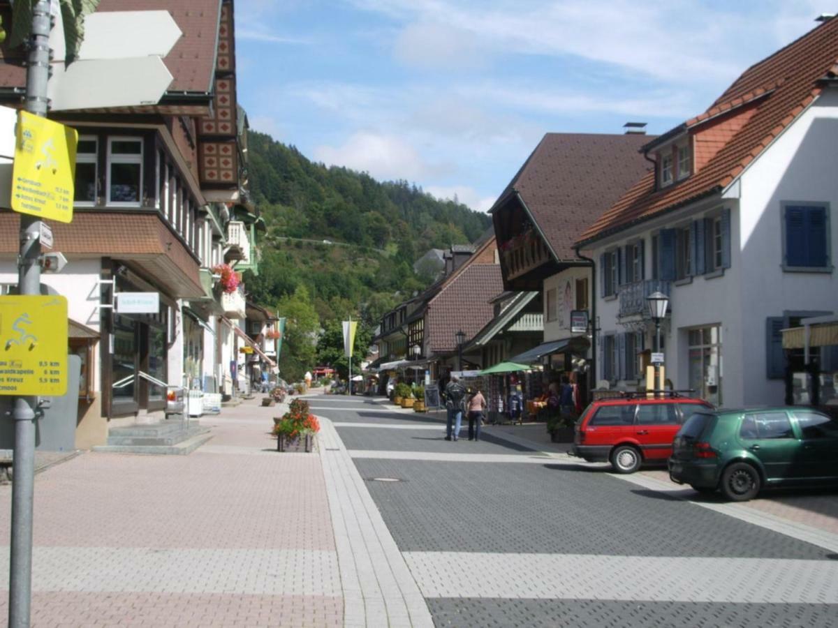 Haus Dachsberg Todtmoos Lägenhet Exteriör bild