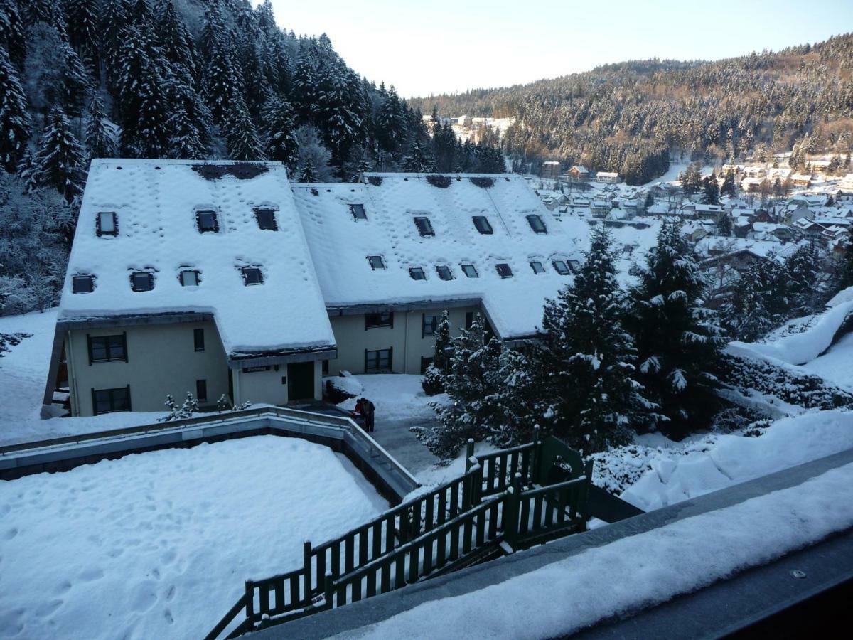 Haus Dachsberg Todtmoos Lägenhet Exteriör bild